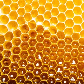 Storing Nectarin the Honeycomb