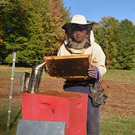 Honey Frames